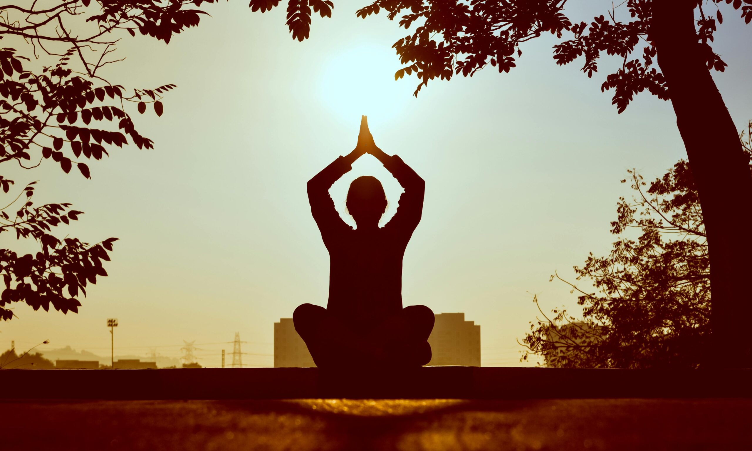 A person trying meditation apps while stuck in traffic