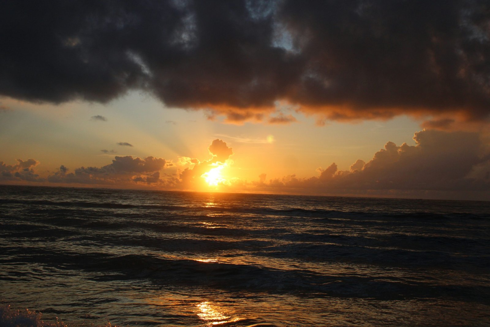 A person meditating under a tree trying to find calmness amidst chaos.
