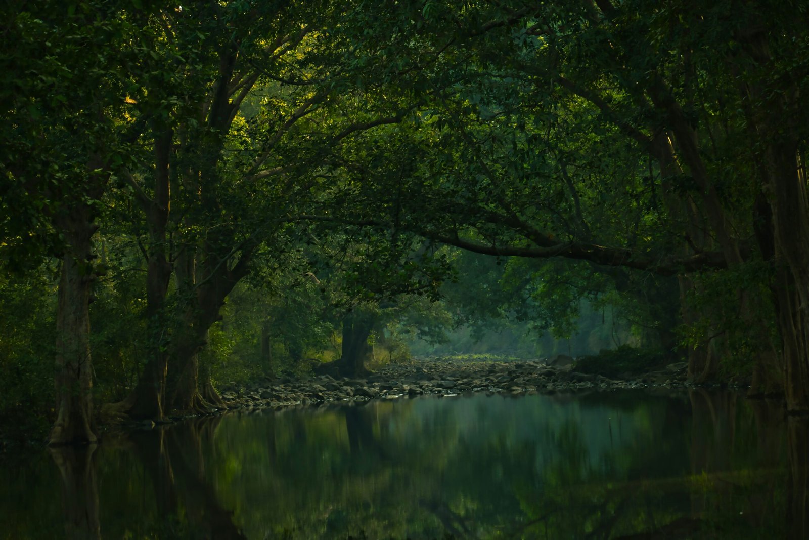 A beautifully handwritten gratitude journal lying next to a cup of coffee.