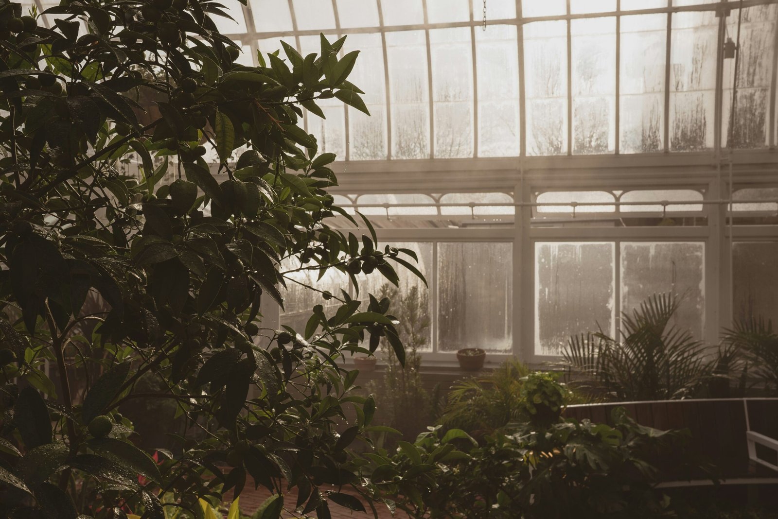 10 Zen Space Ideas to Cultivate Inner Peace and Stress-Free Living