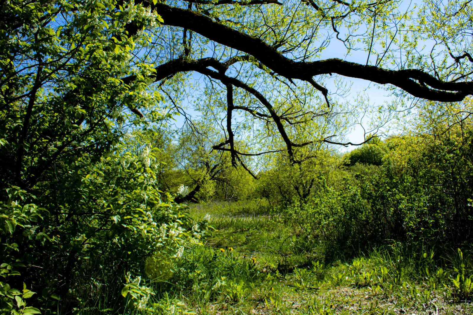 7 Peaceful Mindset Tips to Cultivate Inner Peace in a Chaotic World