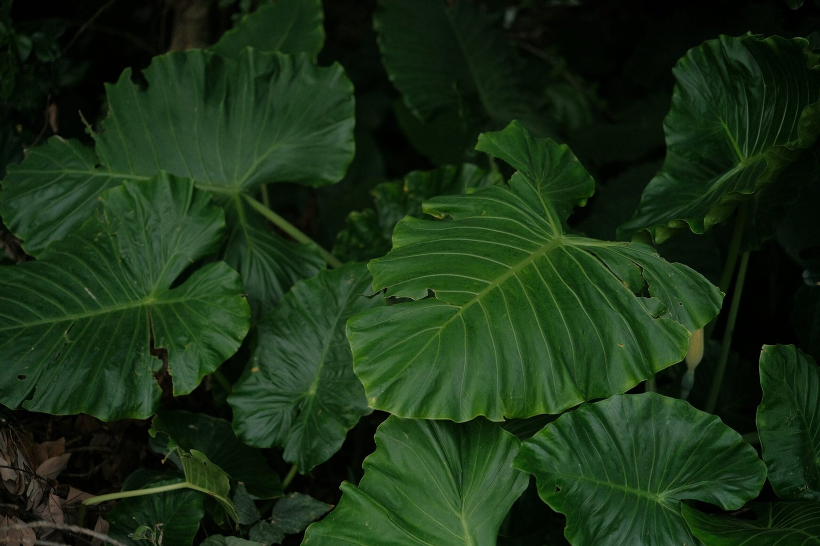 A clean desk setup with essential items only
