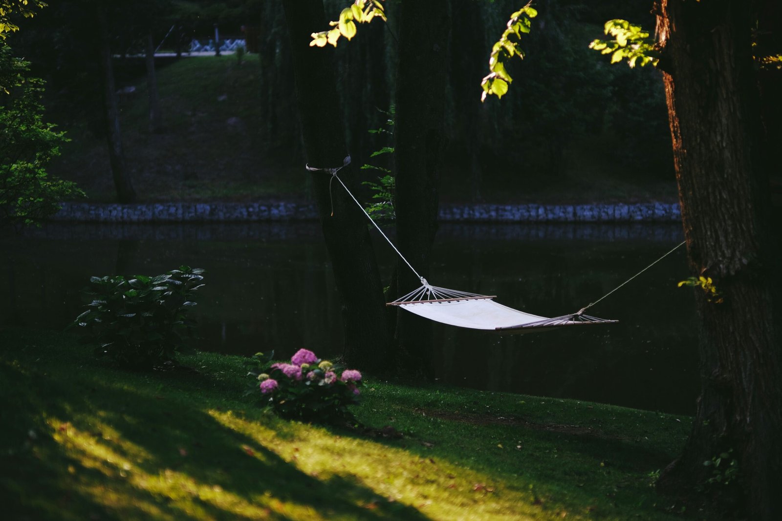 Minimalist zen space with plants and candles showing tranquility