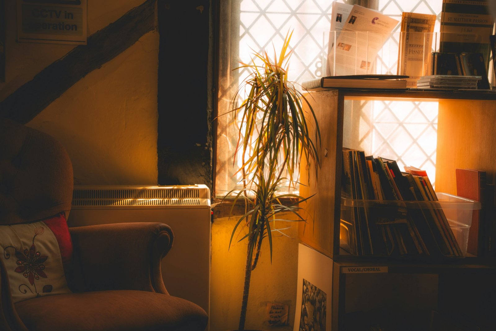 12 Zen Decor Ideas That Will Transform Your Space Into a Haven of Inner Peace