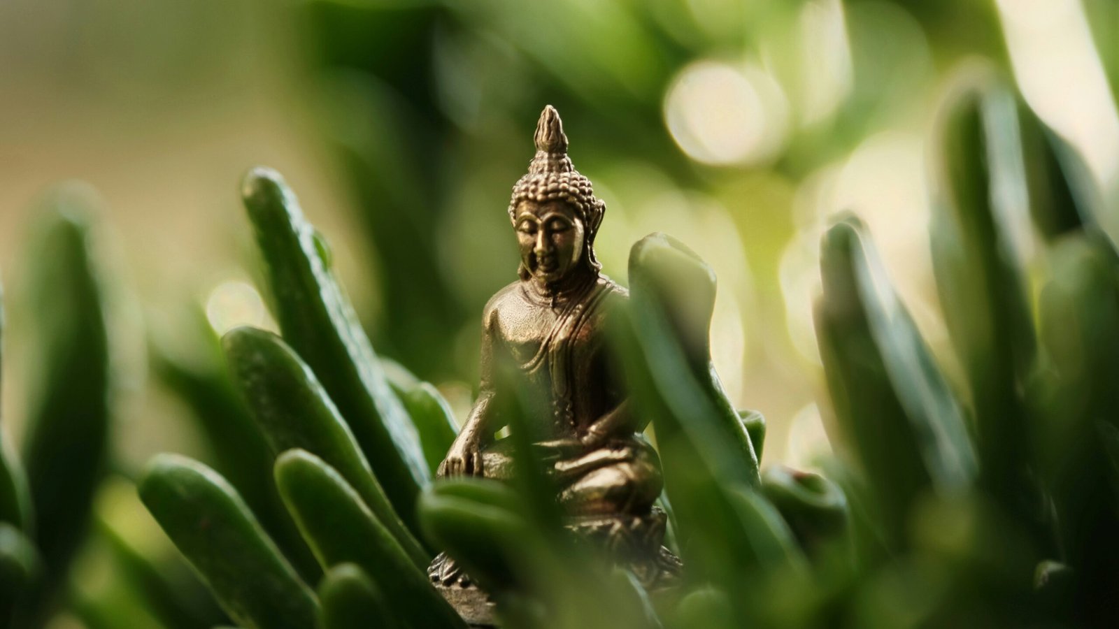 Calm and composed leader smiling confidently