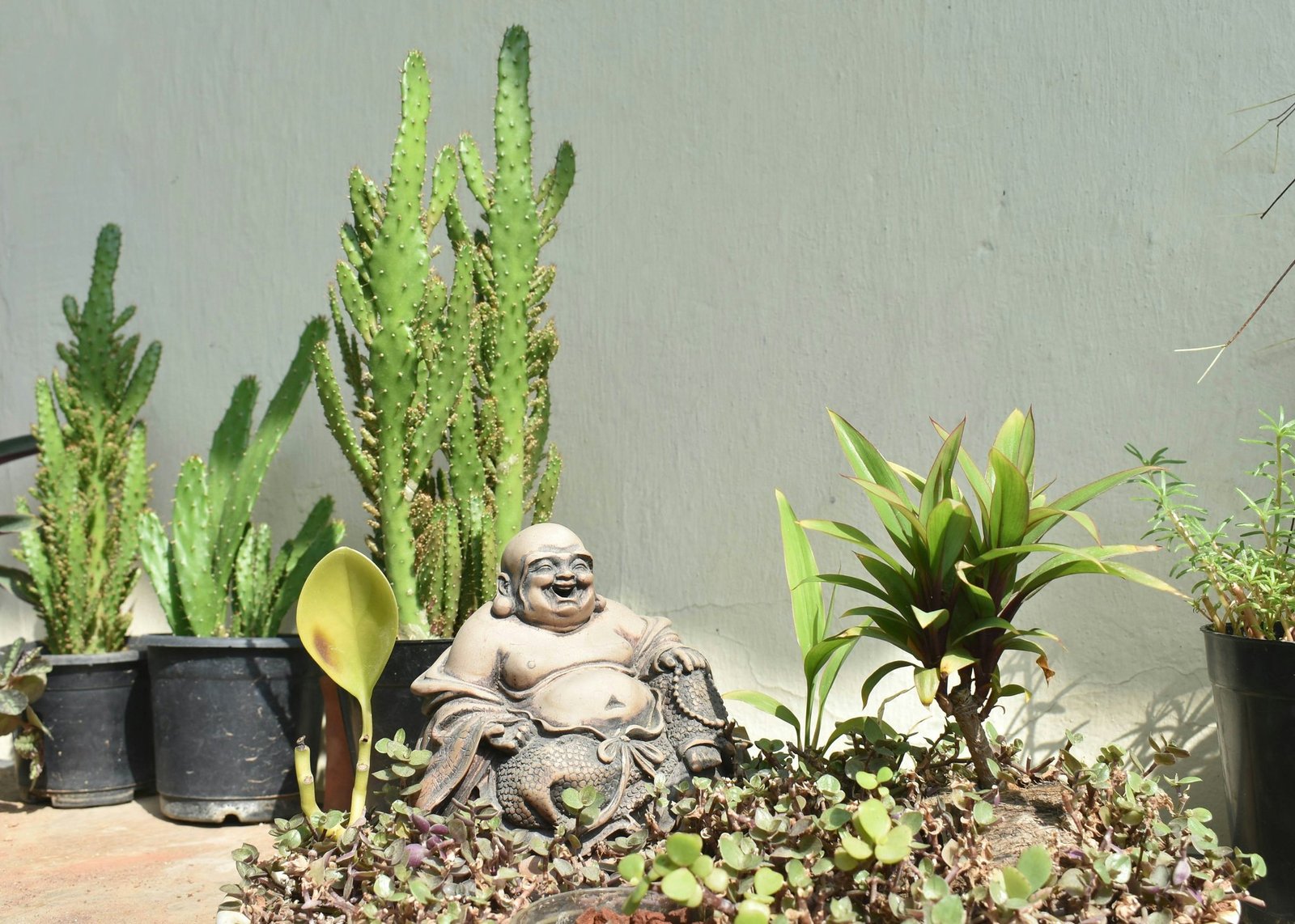 DIY setup showing tools and materials laid out neatly for creating a zen garden.