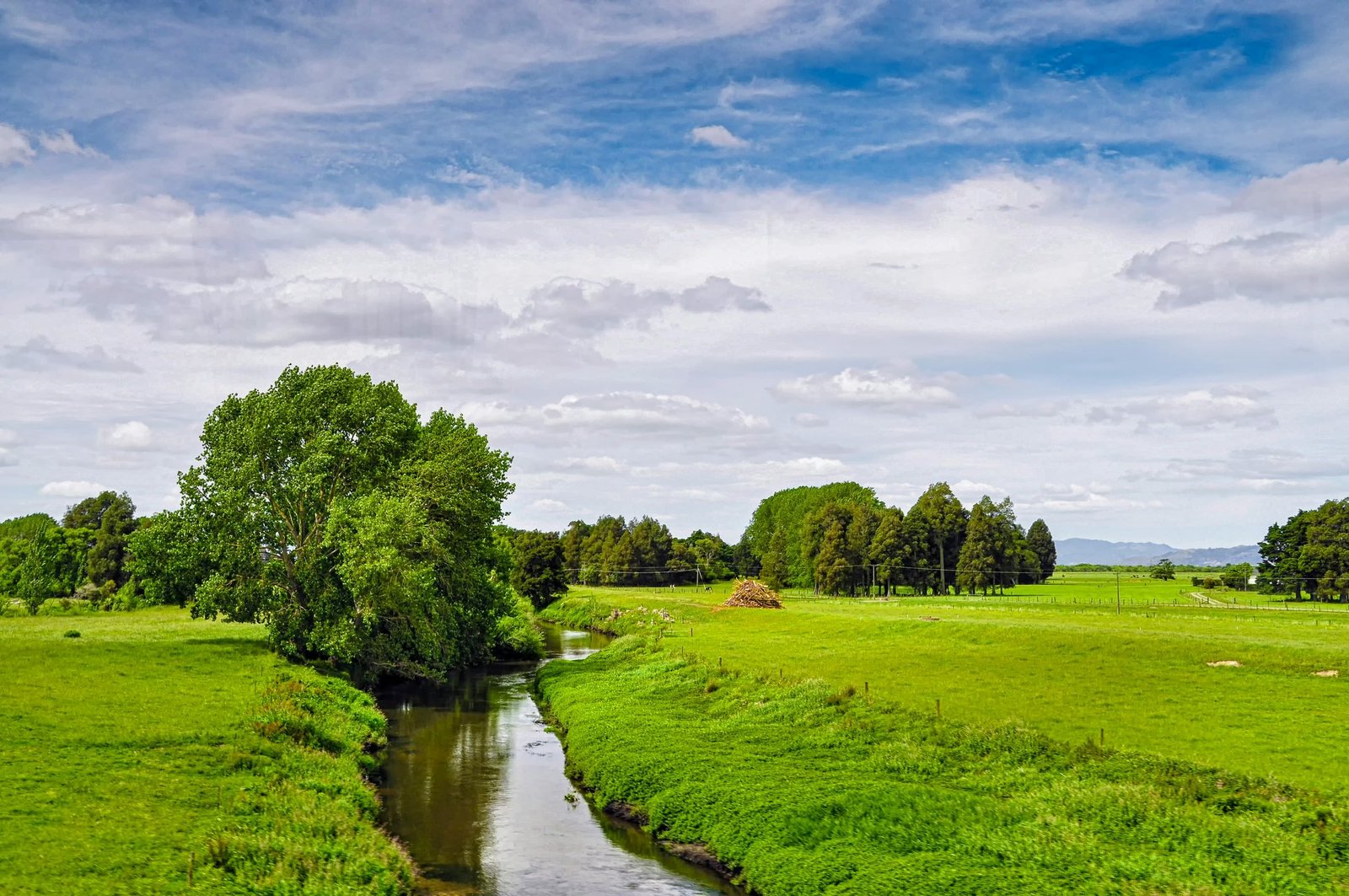 How to Achieve a Noise-Free Mind: Your Pathway to Inner Peace