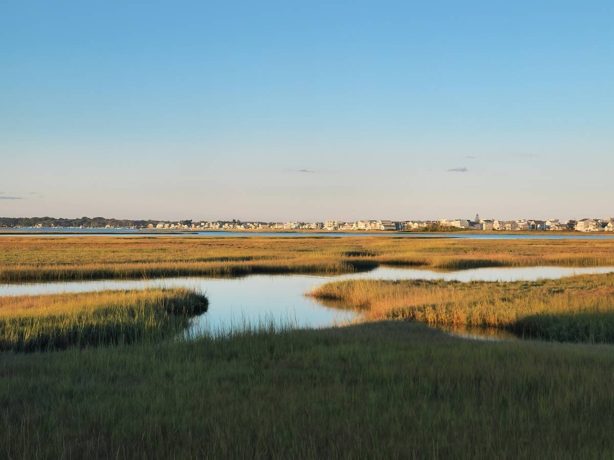 Screenshot of guided journal prompts