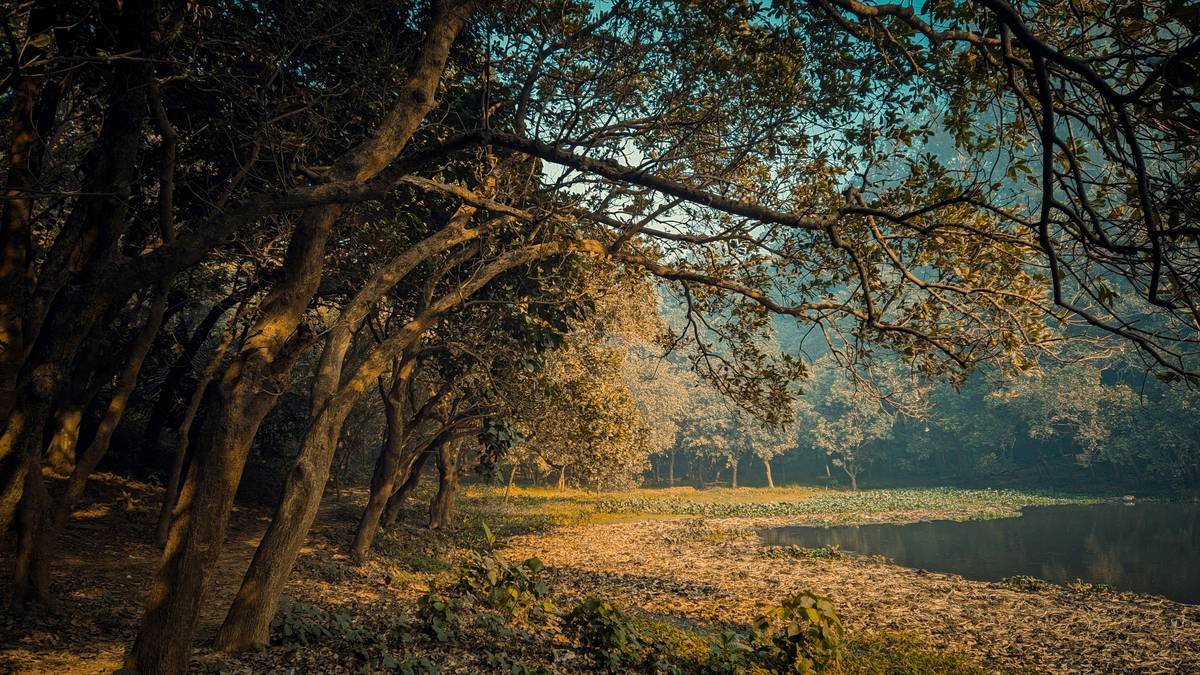 A bar graph showing 80% of adults experience daily stress