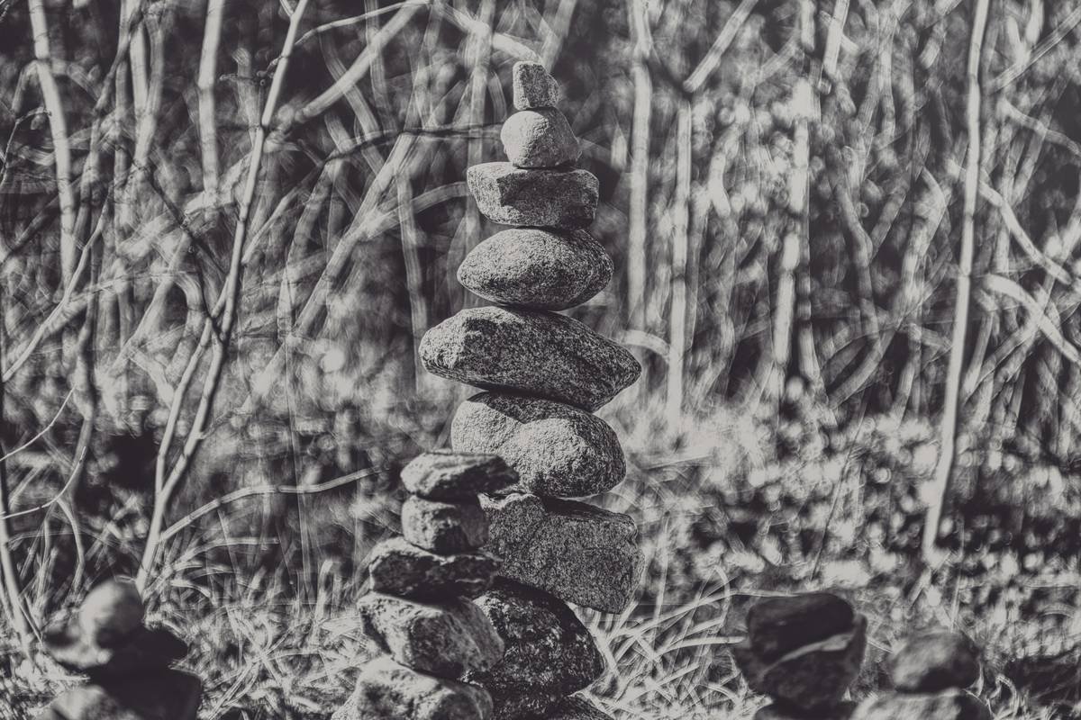 A gallery wall filled with framed zen art pieces for interior decor inspiration.