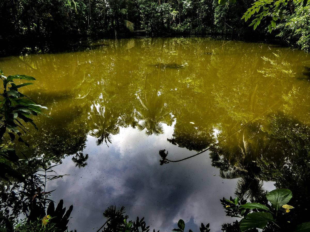 A person sitting at a desk with papers scattered around looking stressed.