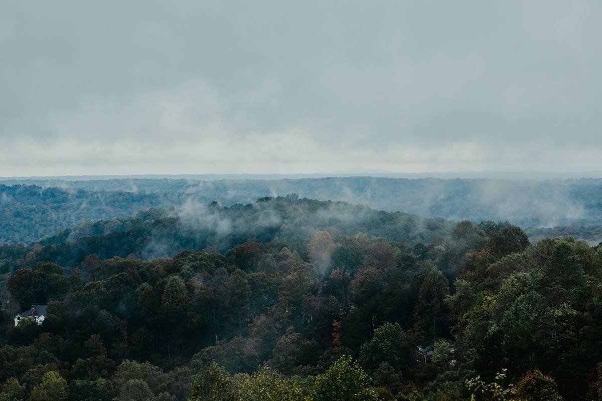 An infographic showing statistics on how mindful silence reduces stress levels by 40% and improves focus by 30%.