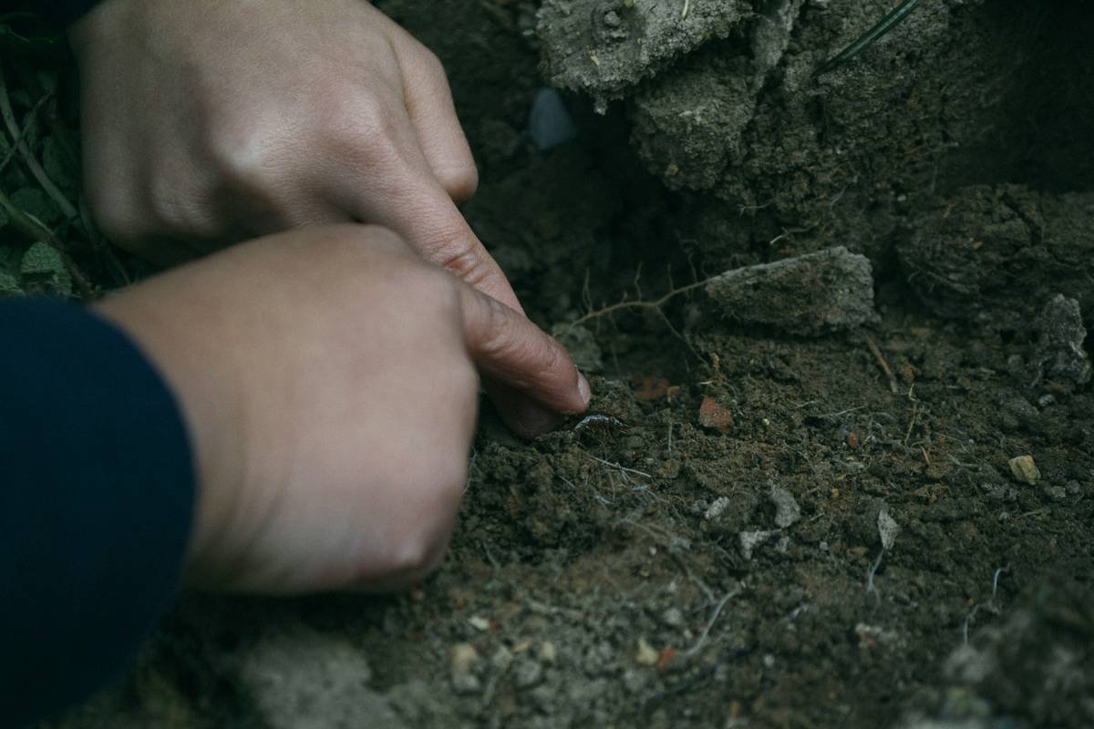Collection of grounding tools like crystals and journals