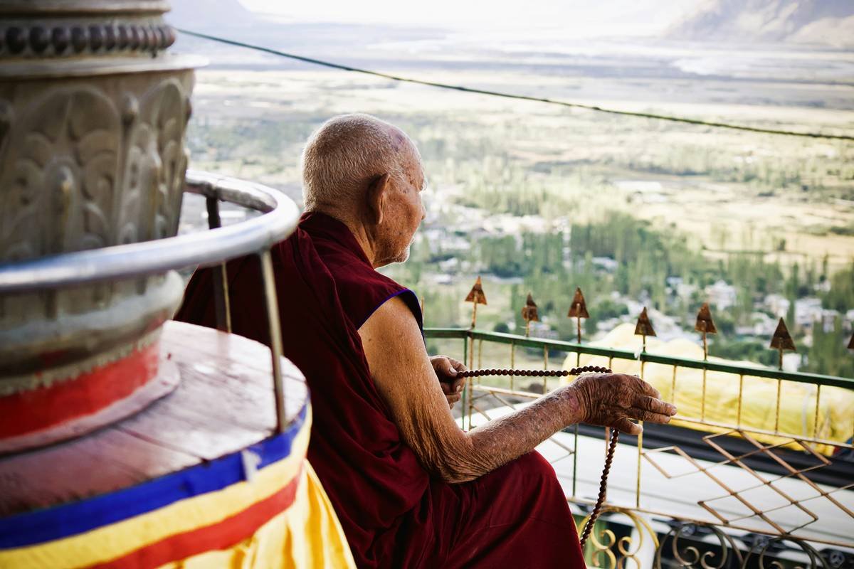 Couple walking together in a forest surrounded by tall trees.