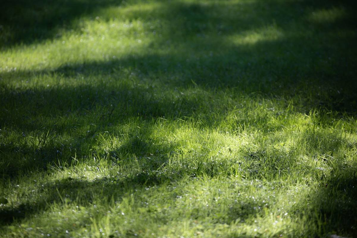 Illustration showing a person overwhelmed by thoughts on sticky notes