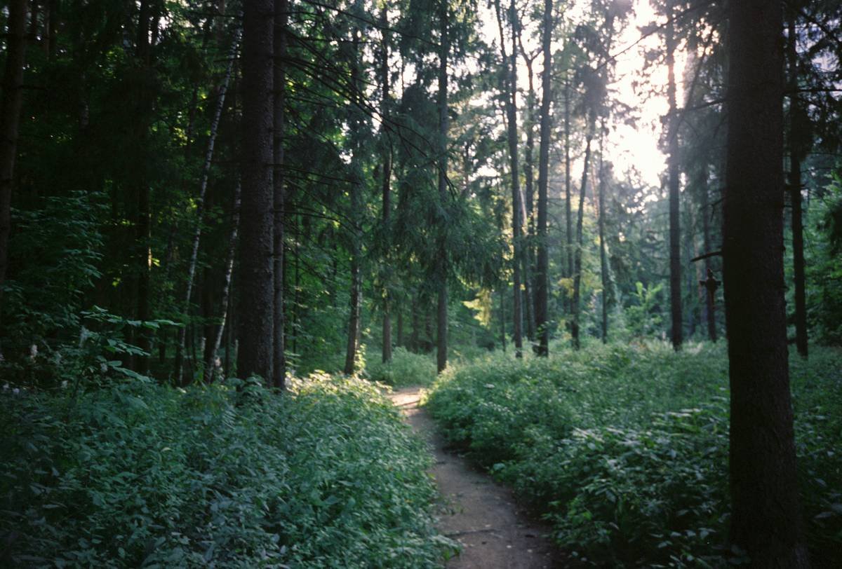 Person meditating in lotus position with serene surroundings