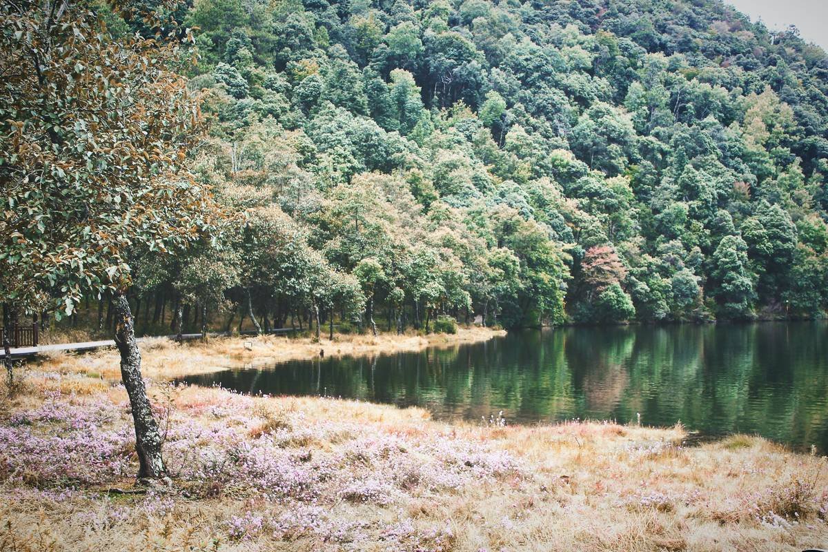 Phone screen showing a meditation app interface with calming visuals.