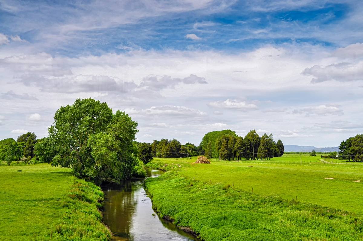 The Ultimate Guide to Serenity Cultivation: Achieving Inner Peace in a Chaotic World