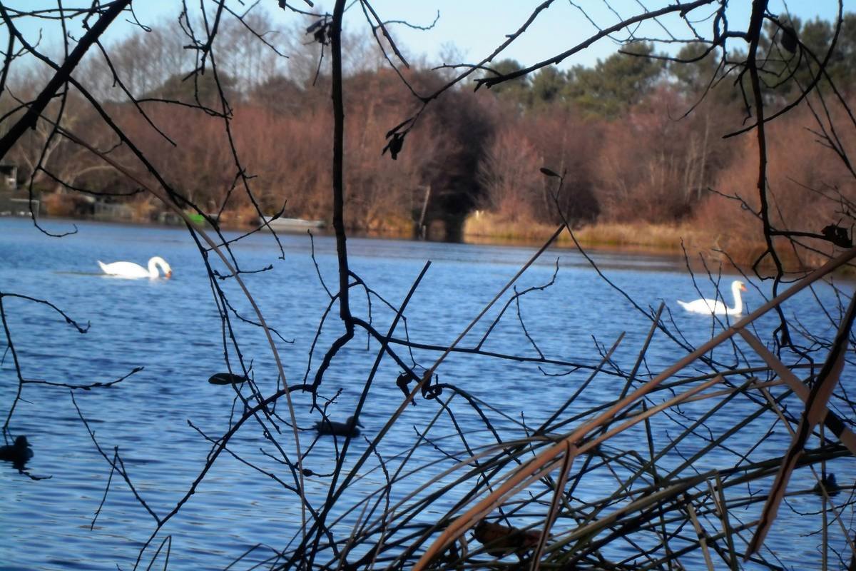 Examples of gratitude journal prompts