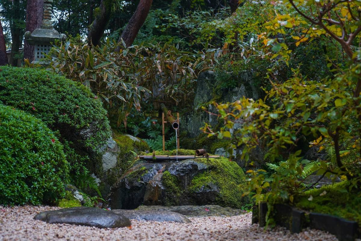 Finding Inner Peace: How Zen Rock Gardens Can Transform Your Mental Wellness